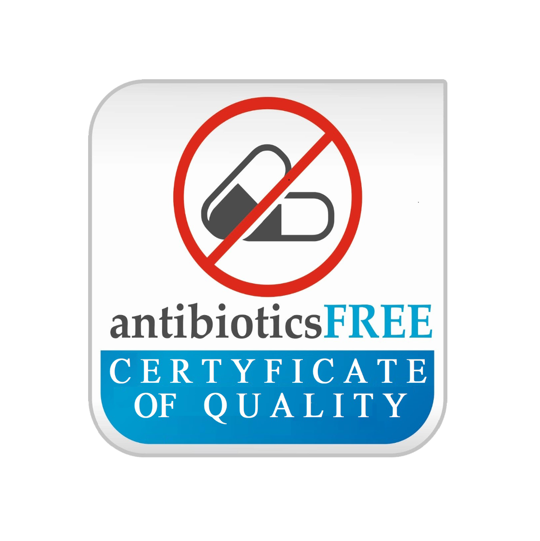 Antibiotics Free 202402
